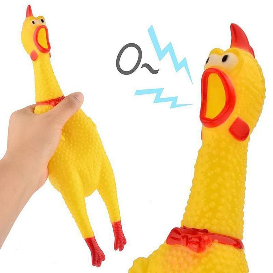 مرغ نالان متوسط